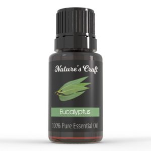 Nature's Craft Pure Eucalyptus Essential Oil (Eucalyptus Smithii)