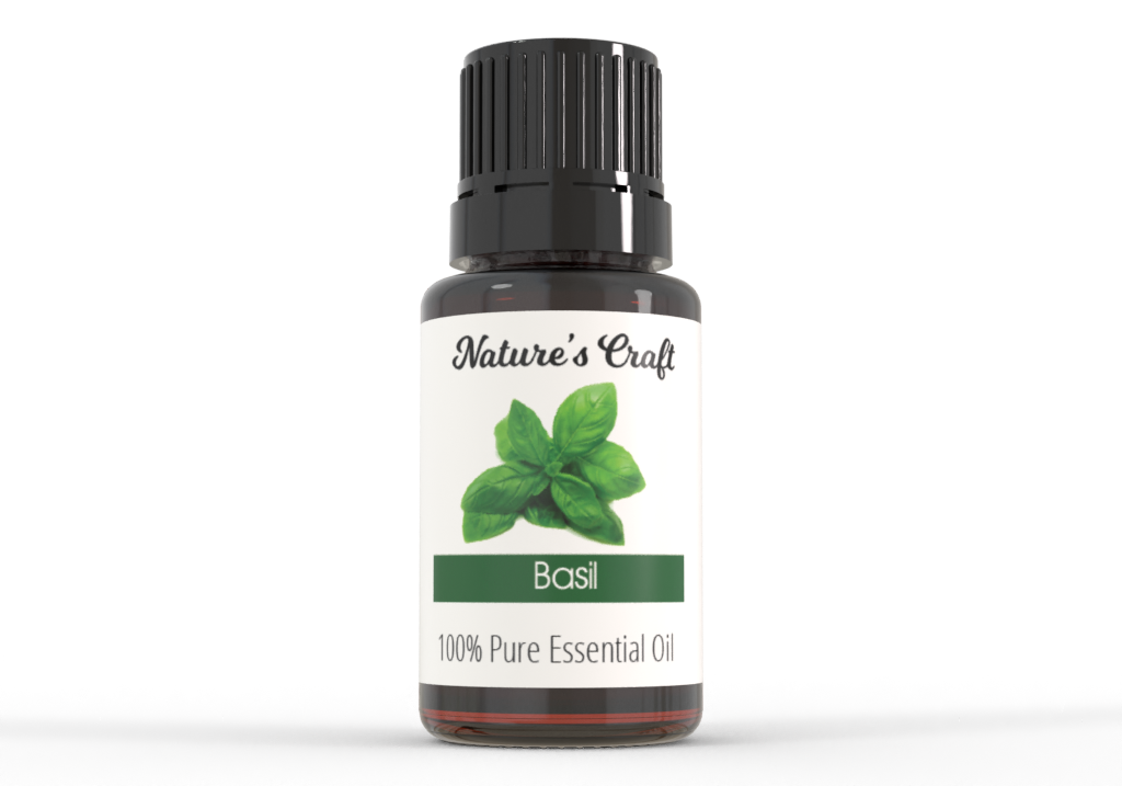 Nature's Craft Pure Basil Essential Oil (Ocimum basilicum Linn.)